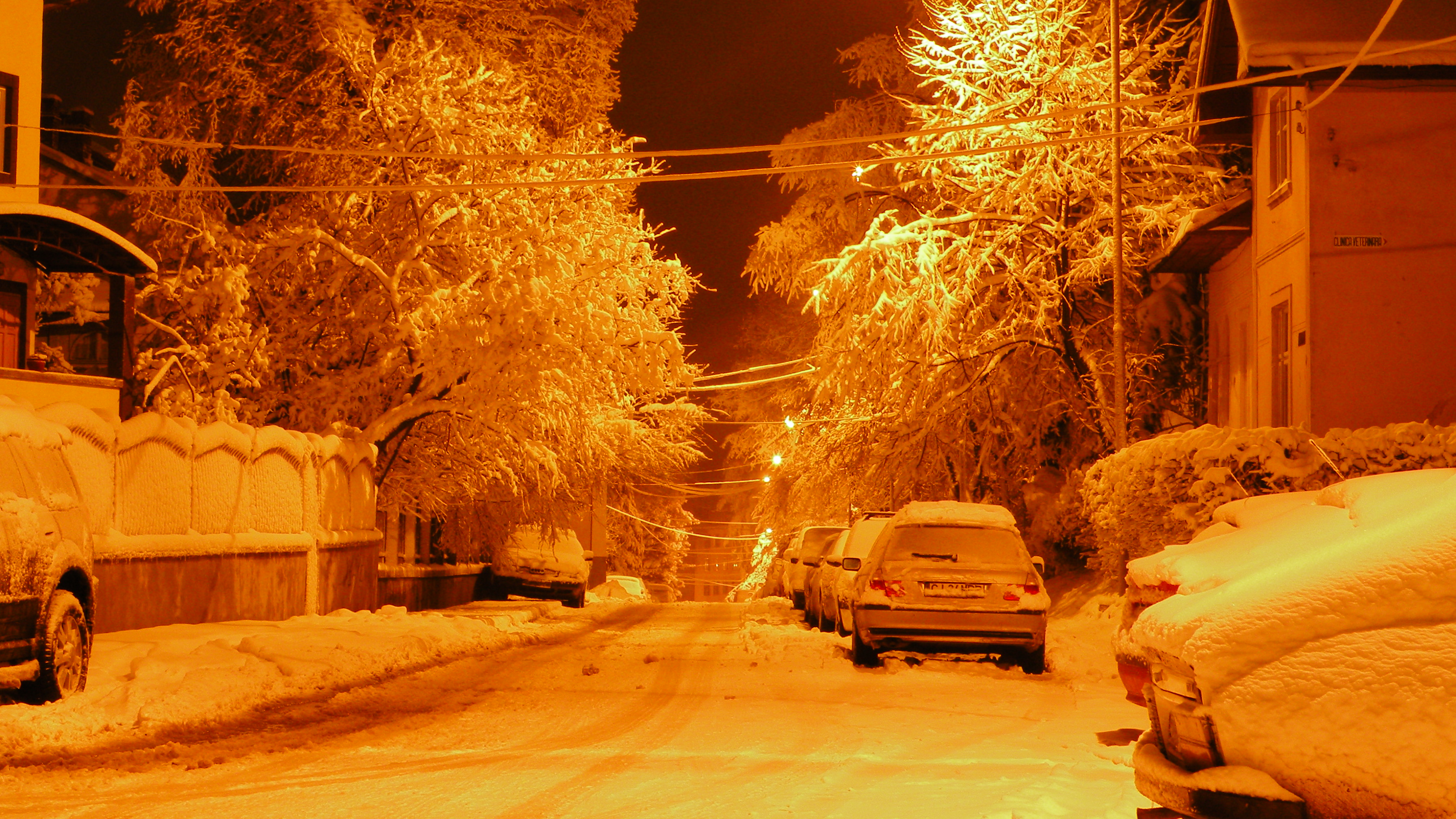 Ianuarie pe 6 Noiembrie. Foto: Mihai Atomei