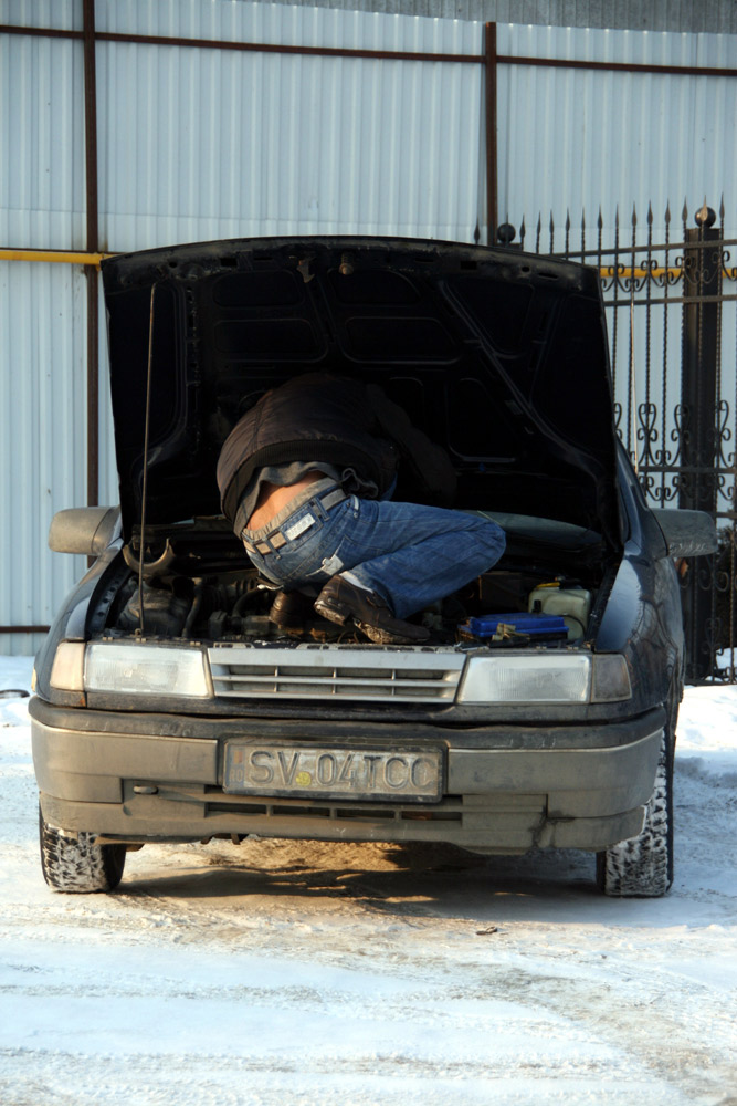 Probleme, Gogule? Autor: Marius ŞUIU 