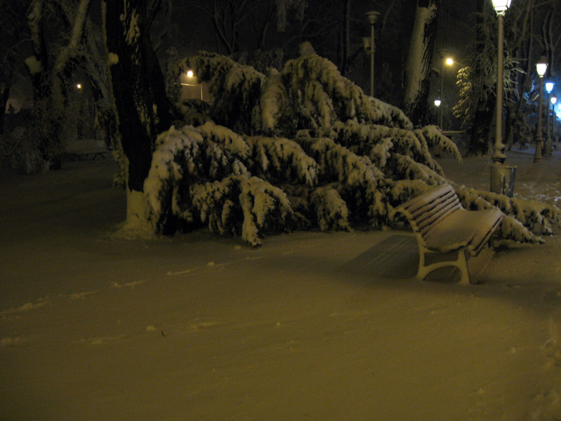 Noaptea de Florii la Suceava. Foto: Tiberiu COSOVAN