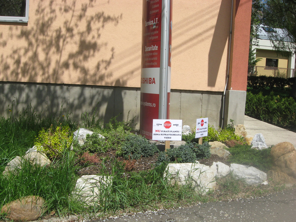Măsură extremă: Nu furaţi plante! Zonă supravegheată video. Foto: Florin PAIU