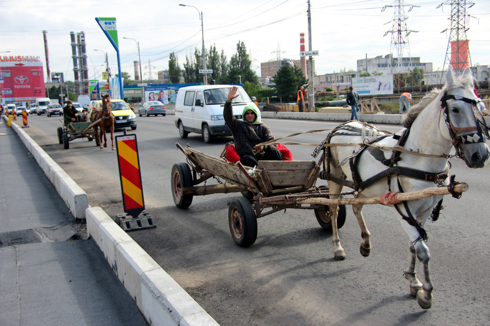Salutare!. Foto: Marius ŞUIU