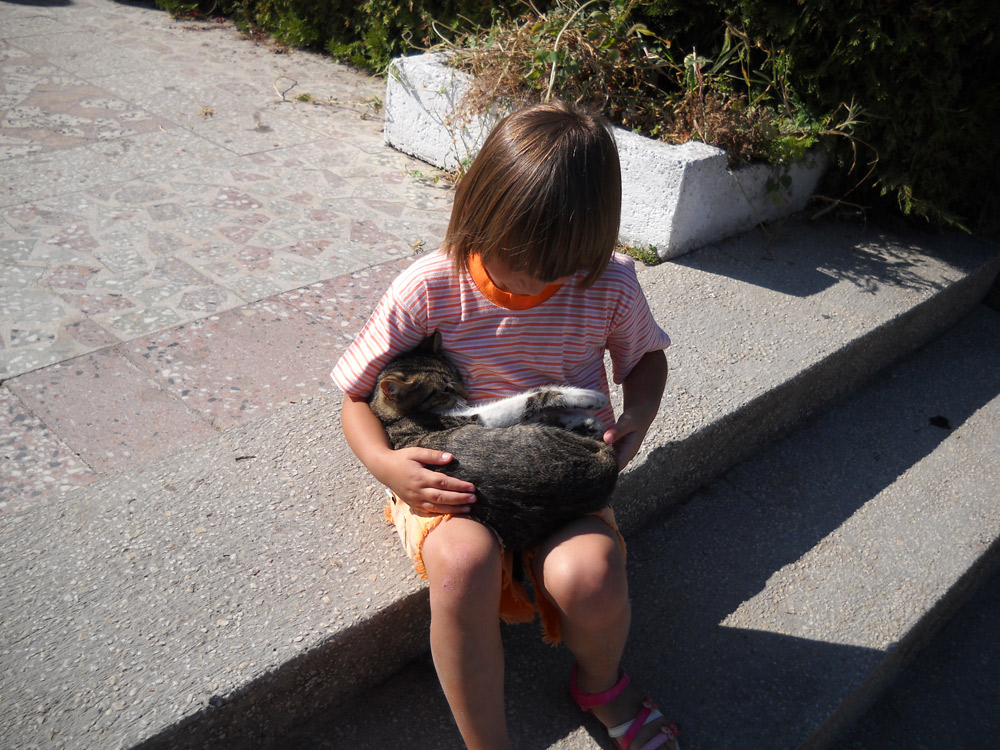 Doi buni prieteni. Foto: Luminiţa MORUZ