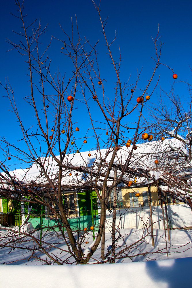 S-au scumpit globurile… Foto: Marius ŞUIU