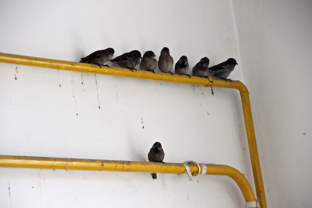 Discriminare. Foto Marius ŞUIU