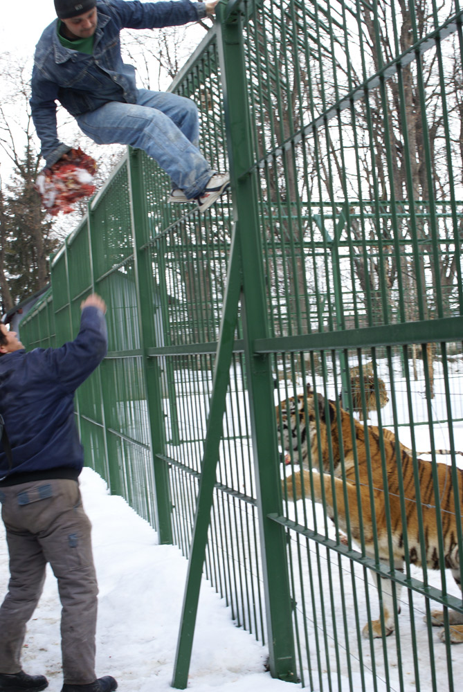 Deci, care din voi e prânzul meu? Foto: Sergiu RUSU