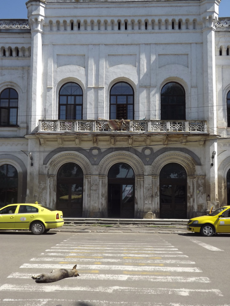Nu călcaţi pe zebră! Foto: Cosmin ROMEGA