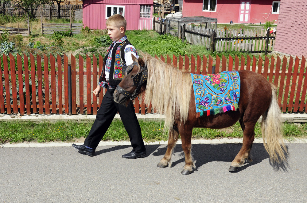 Plimbare la şosea. Foto: Iustin BUCULEI
