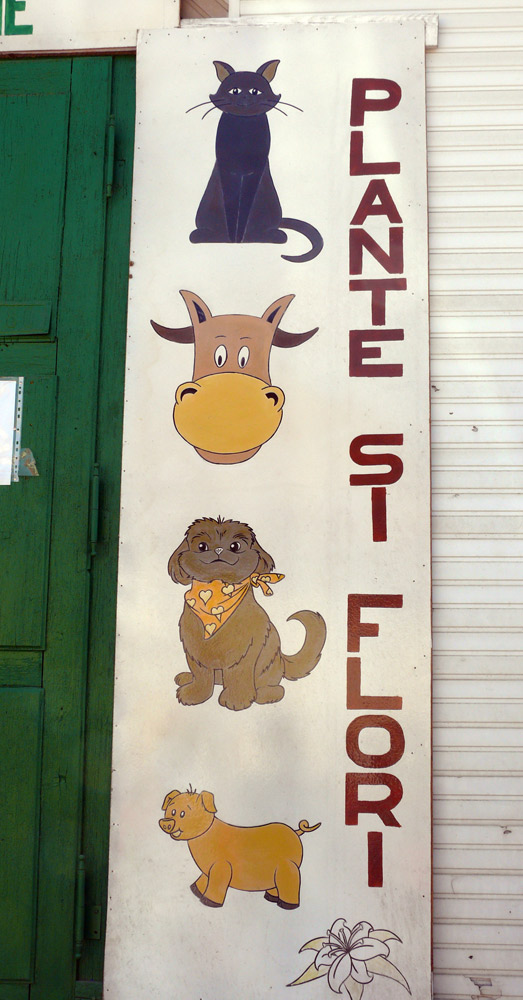 Combinaţie. Foto: Iustin BUCULEI