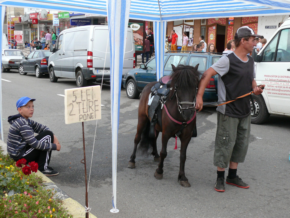 Lei, ture şi ponei. Foto: Iustin BUCULEI