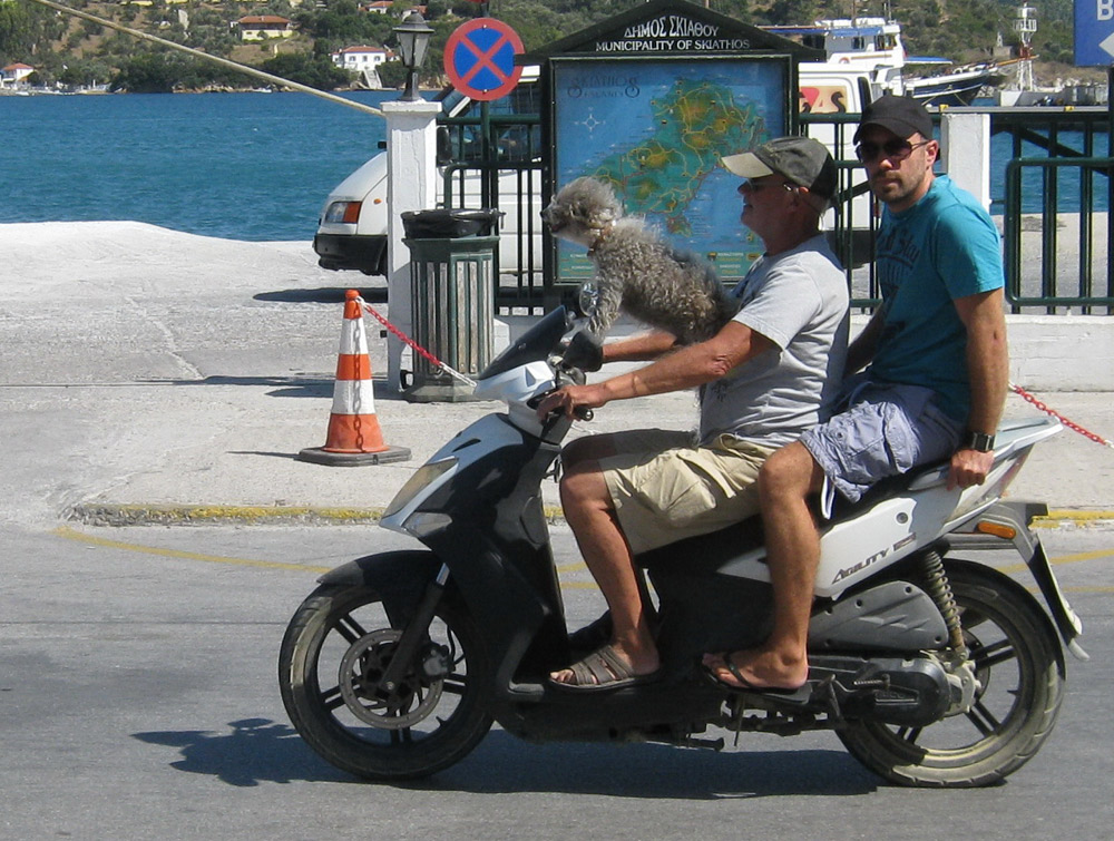 Plimbare în trei. Foto: Iustin BUCULEI