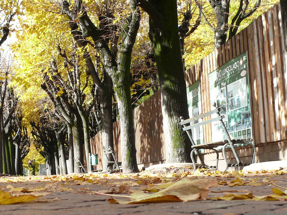 Cum ne aşezăm pe bănci? Foto: Iustin BUCULEI