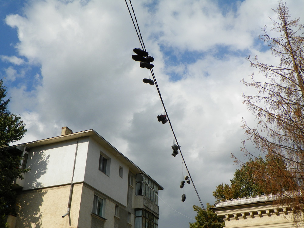 Pe sârmă. Foto: Luminiţa MORUZ.