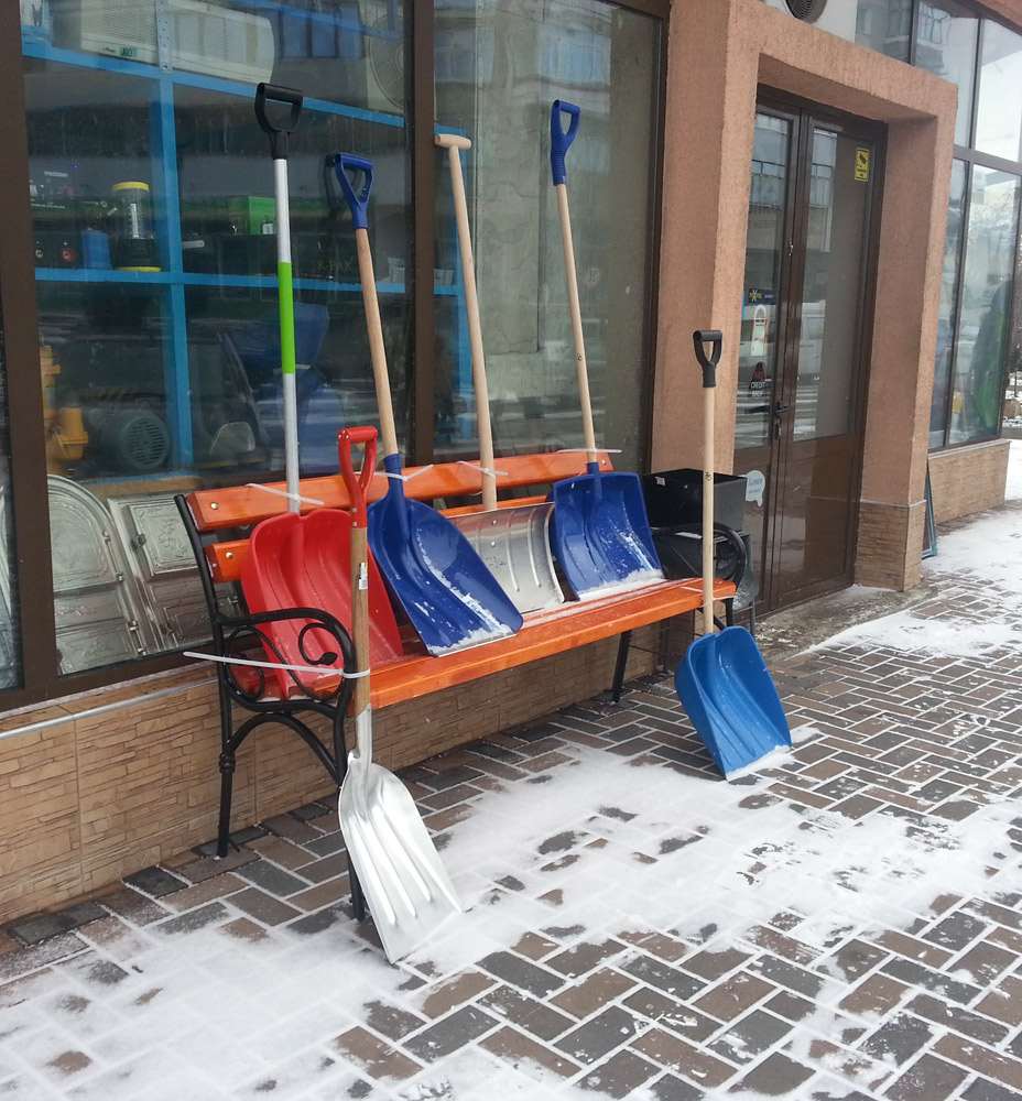 Odihnă înainte de venirea zăpezii. Foto: Iustin BUCULEI