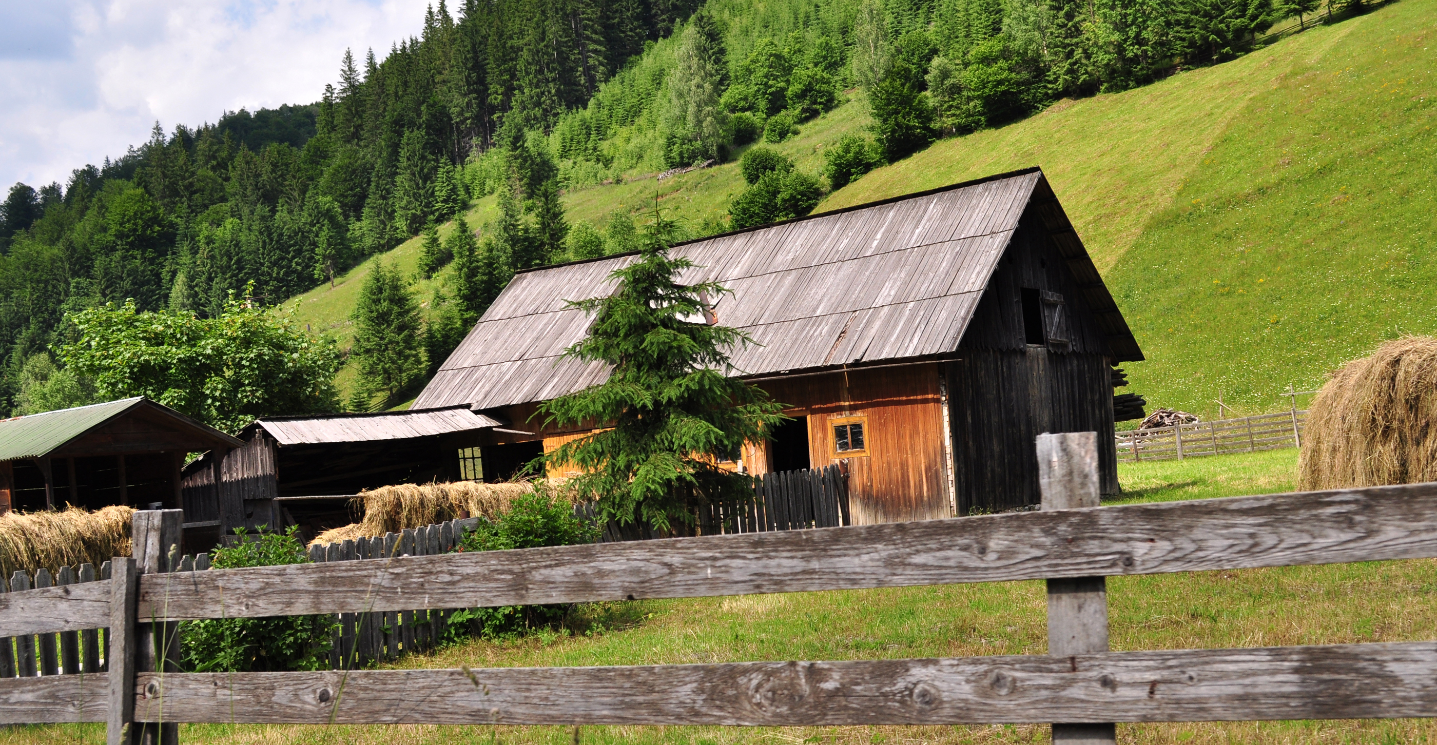 Rustic