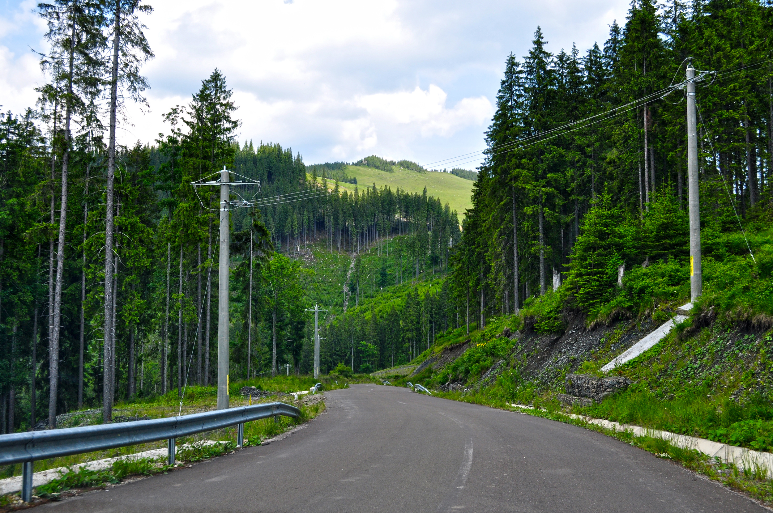 Şoseaua alpină TransRarău