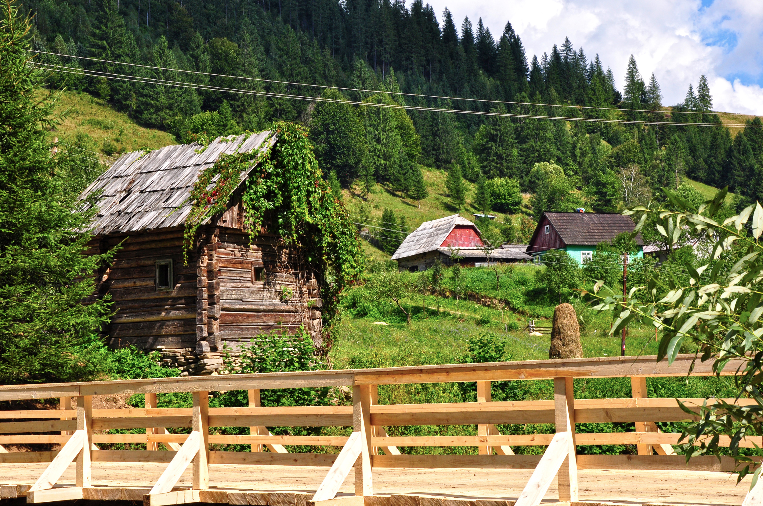 Peisaj din nordul Bucovinei (Brodina)