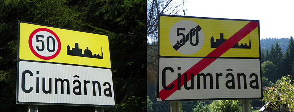 Dilema… Foto: Luminiţa MORUZ