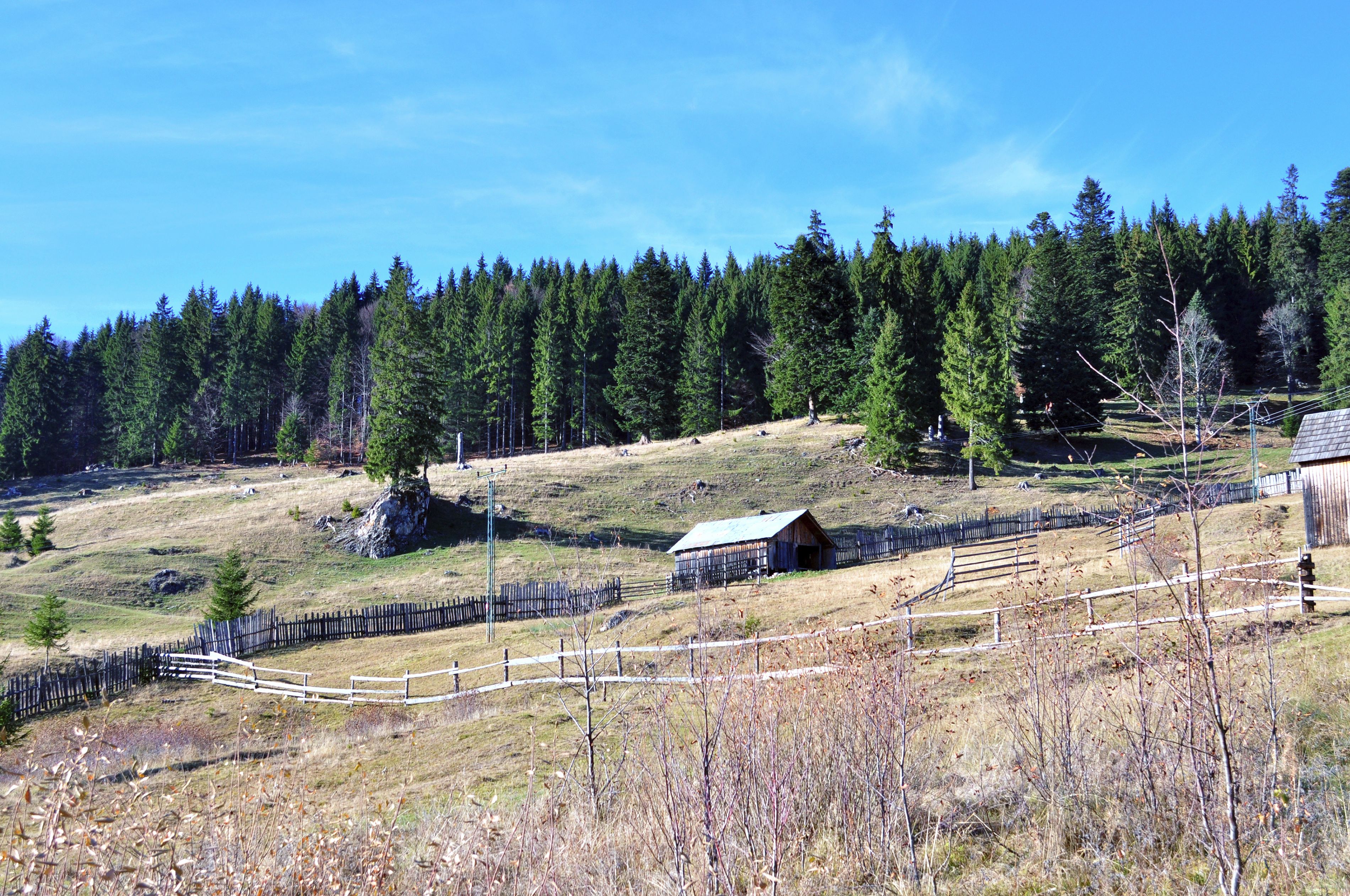 Toamna în apropierea mănăstirii Sihăstria Rarăului