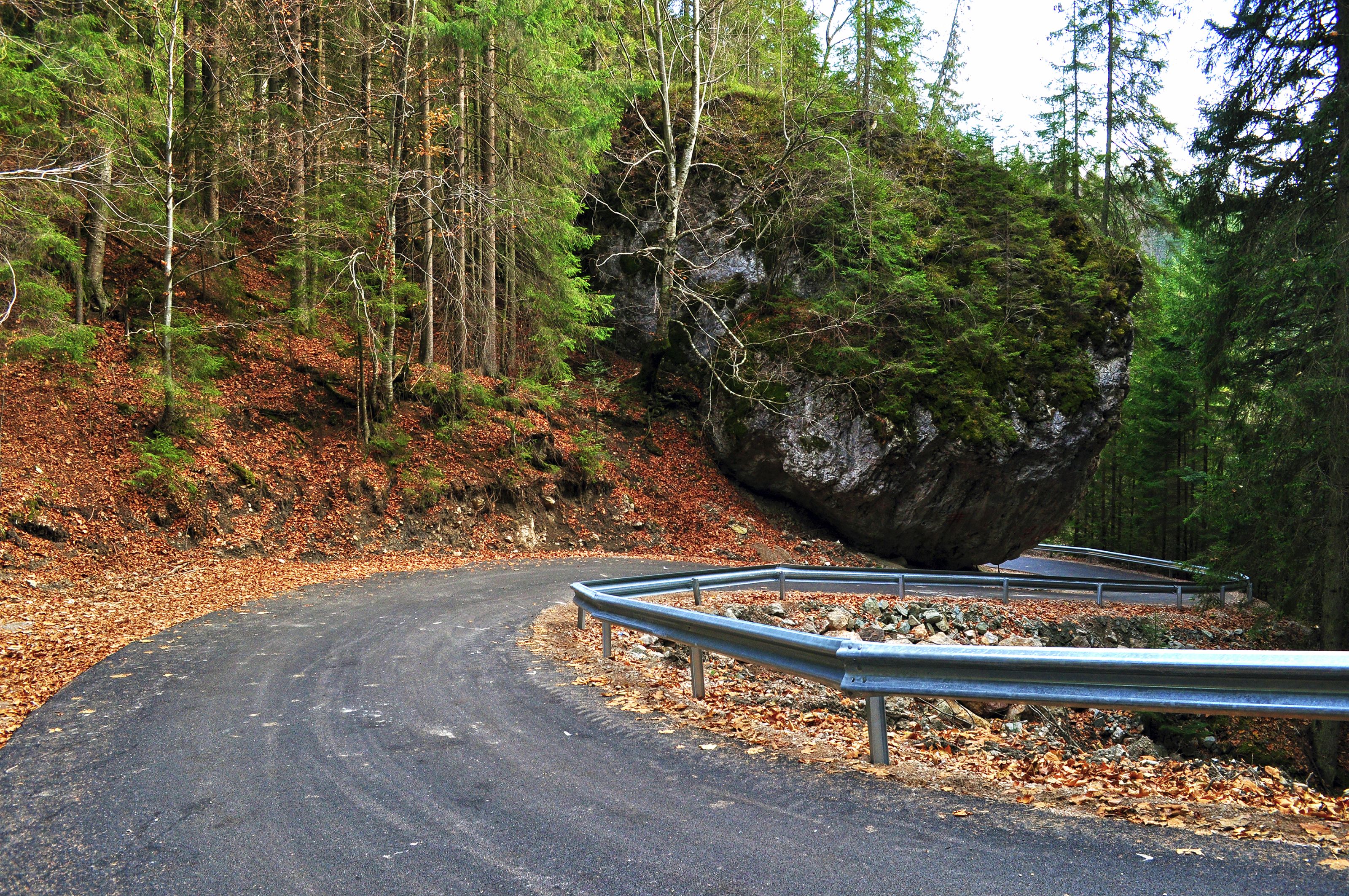 Natura sălbatică - TransRarău (Drumul Comorilor)