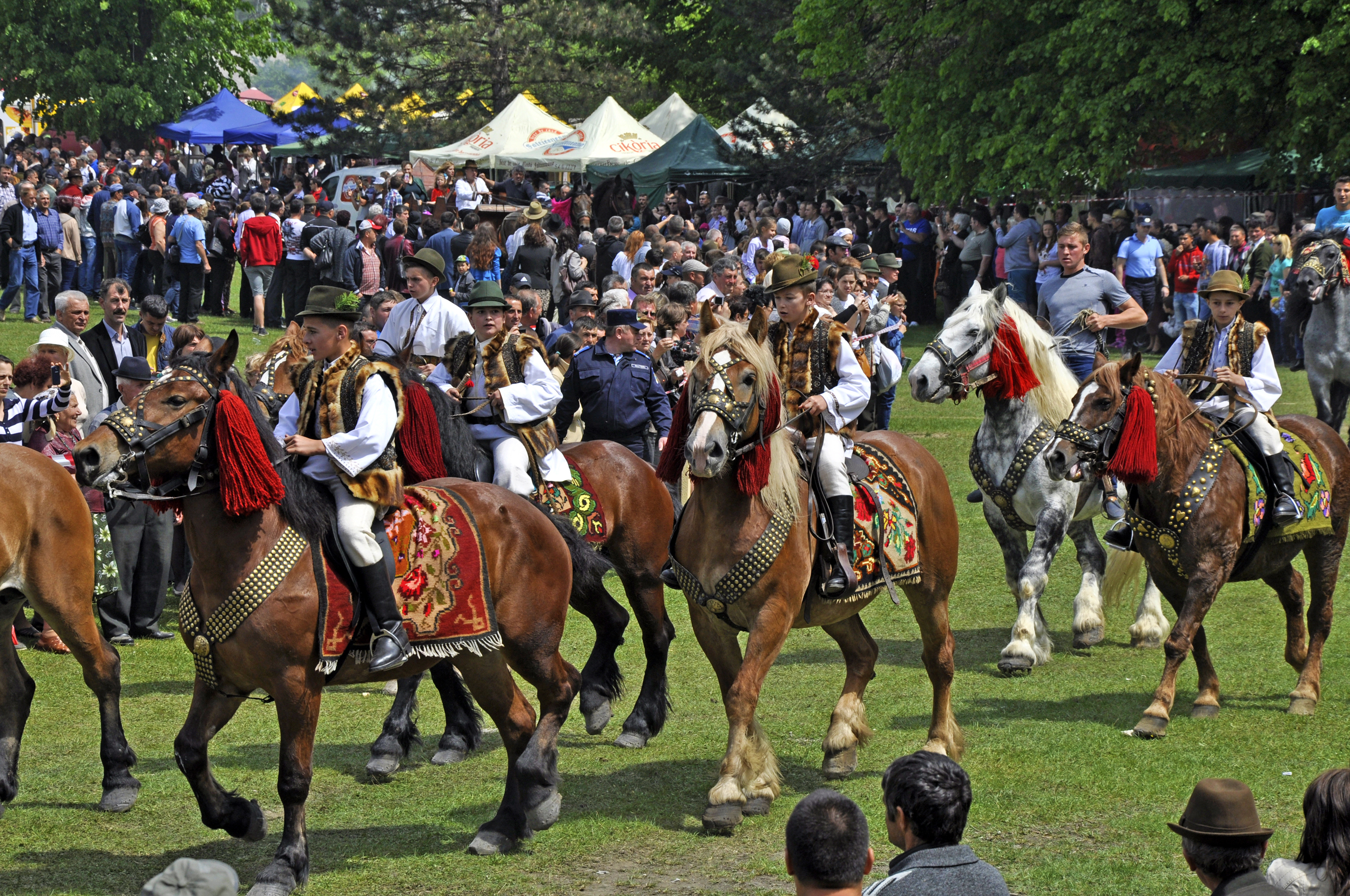 Hora Bucovinei 2015