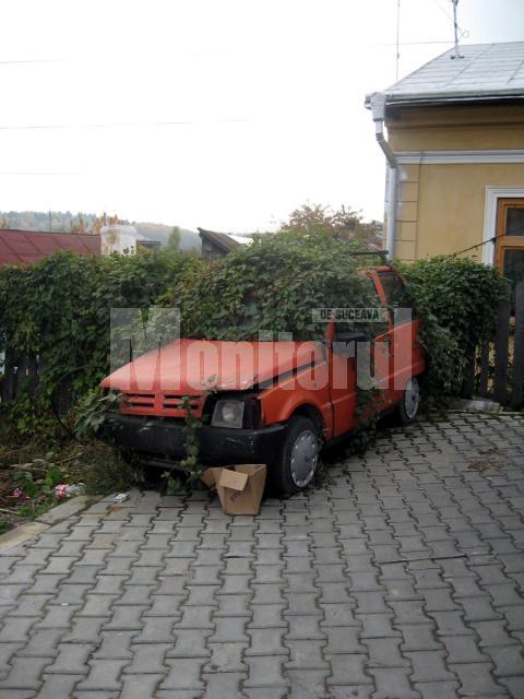 Eco maşină: Lăstunul vegetal