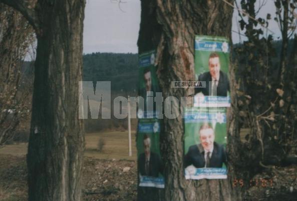 Afişe electorale fixate cu cuie pe copaci