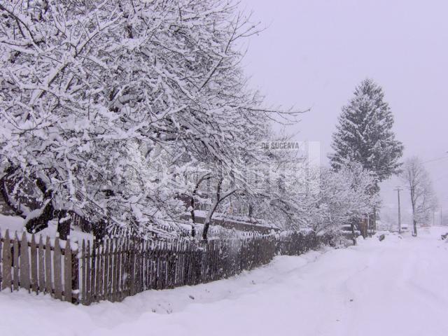 „La Câmpulung stratul de zăpadă a depăşit 15 cm grosime” 2