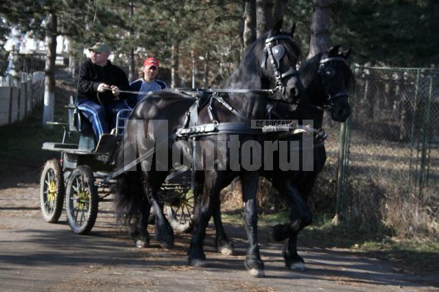 Suceava 620: Cetatea se pregăteşte de asediu