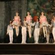 Balet: Feerie pe scena suceveană
