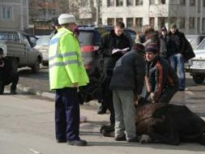 Imagini de coşmar: Cal în agonie, în plină stradă