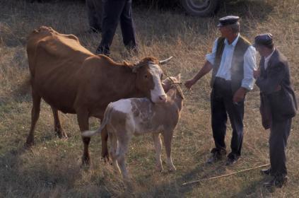 Prin PNDR, România poate accesa fonduri UE de circa opt miliarde euro