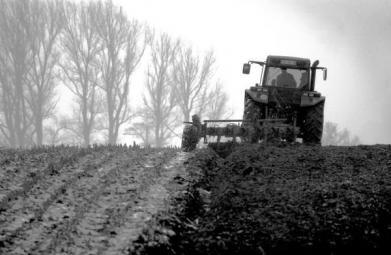 Producătorii agricoli vor cumpăra motorina la preţ avantajos