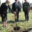 Ziua Gărzii de Mediu: 100 de stejari plantaţi în zona pasarelei din Burdujeni