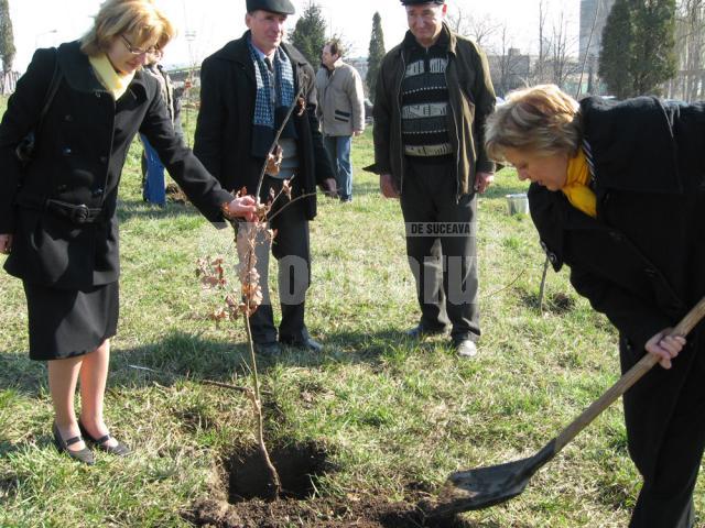 Ziua Gărzii de Mediu: 100 de stejari plantaţi în zona pasarelei din Burdujeni