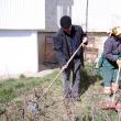 Exemplu: Primarul Sucevei a dat startul curăţeniei de primăvară în cartiere