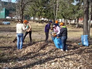 Salubritate electorală: Tinerii PDL fac curăţenie în parcurile din Cîmpulung