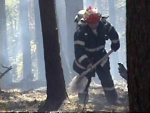 Risc: Pădurea din Marginea, pusă în pericol de incendierea vegetaţiei uscate