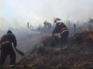 Probleme peste tot: Pădurea din Marginea, pusă în pericol de incendierea vegetaţiei uscate