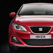 Seat Ibiza 2008