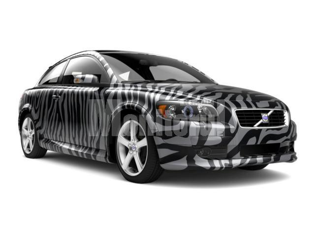 Volvo C30 2008 Zebra