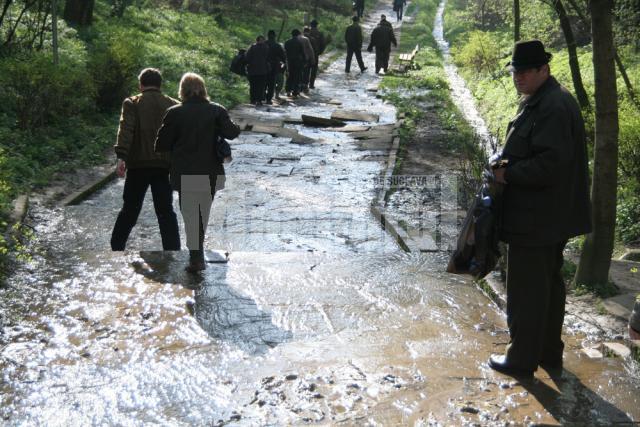 Luna Pădurii: Peste o sută de silvicultori, la curăţenie în Parcul Şipote