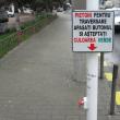 La Shopping City: Pietonii, în pericol pentru că nu ştiu să folosească semaforul acţionat manual