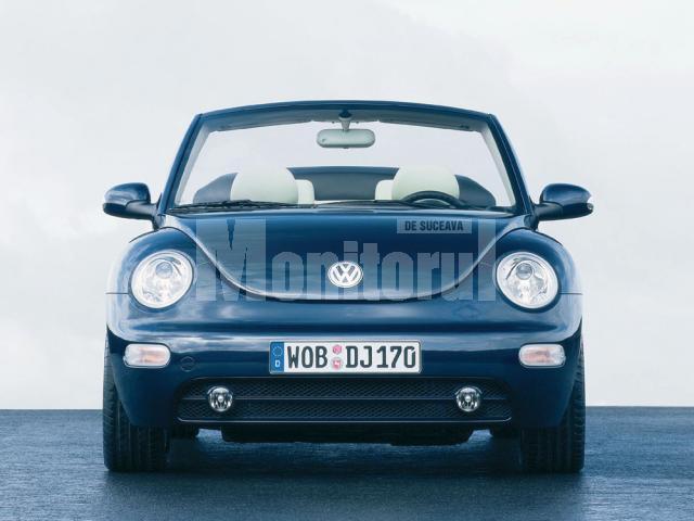 VW Beetle are 10 anişori