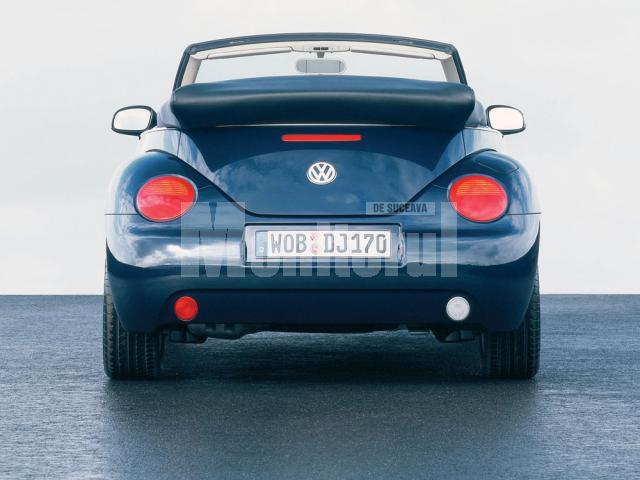 VW Beetle are 10 anişori