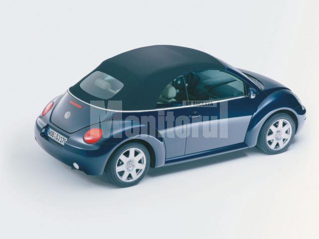 VW Beetle are 10 anişori