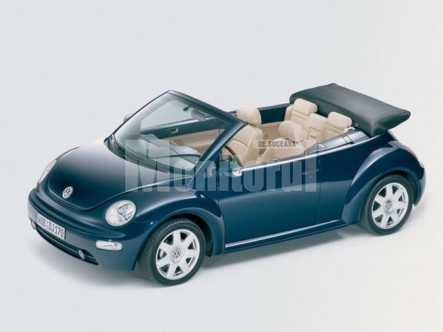 VW Beetle are 10 anişori