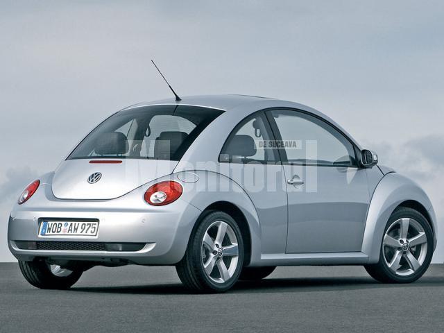 VW Beetle are 10 anişori