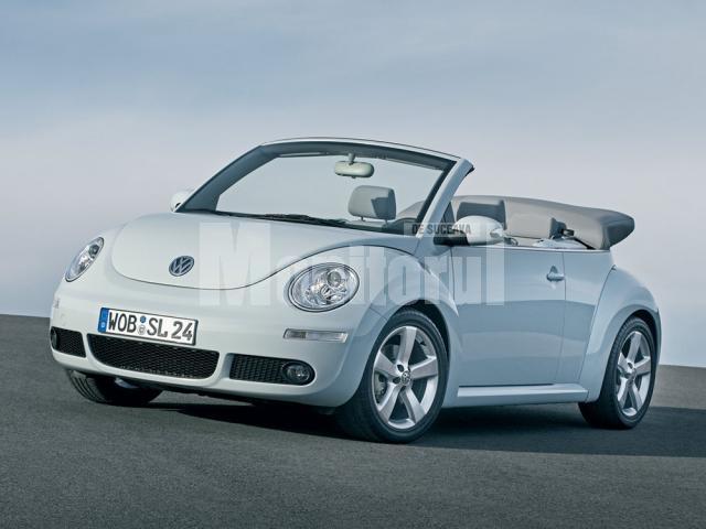 VW Beetle are 10 anişori