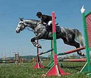 Herghelia Rădăuţi: Prima participare a Sucevei la o cursă de cai cu obstacole