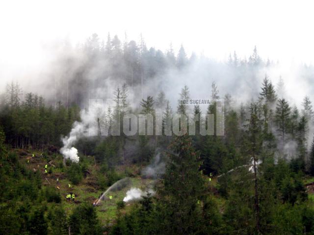 Simulare: Impresionantă desfăşurare de forţe, la stingerea unui incendiu de pădure